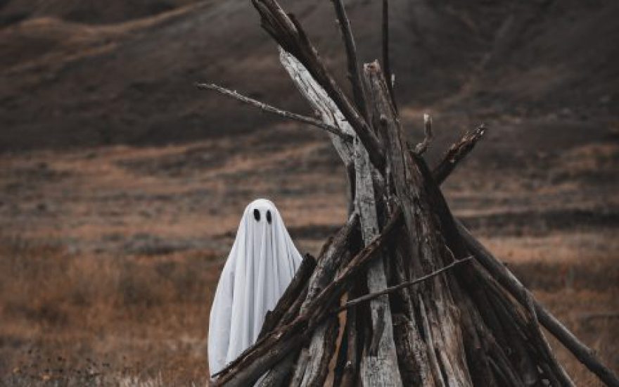 tandem-x-visuals-22fQ07d4xKE-unsplash-480×720 tandem-x-visuals-22fQ07d4xKE-unsplash-480x720